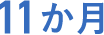 11か月
