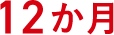 12か月
