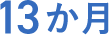 13か月
