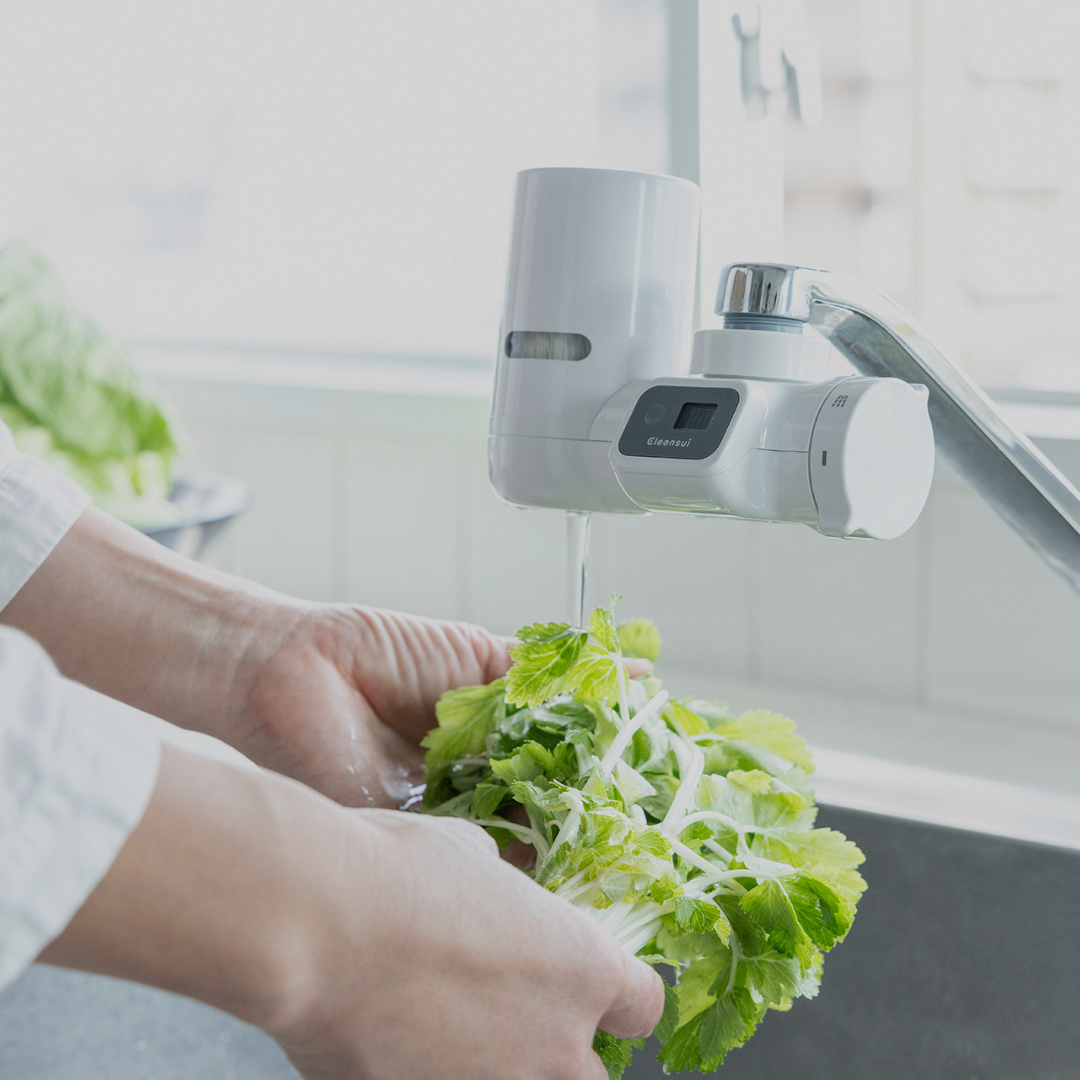 蛇口直結型本体